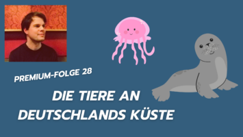 Thumbnail for Premium-Folge 28 – Die Tiere an Deutschlands Küste