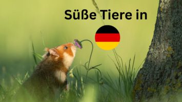 Thumbnail for Folge 242 – Süße Tiere in Deutschland