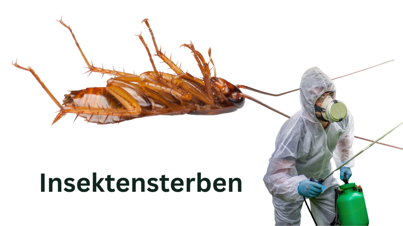 Thumbnail for Premium-Folge 117 – Insektensterben