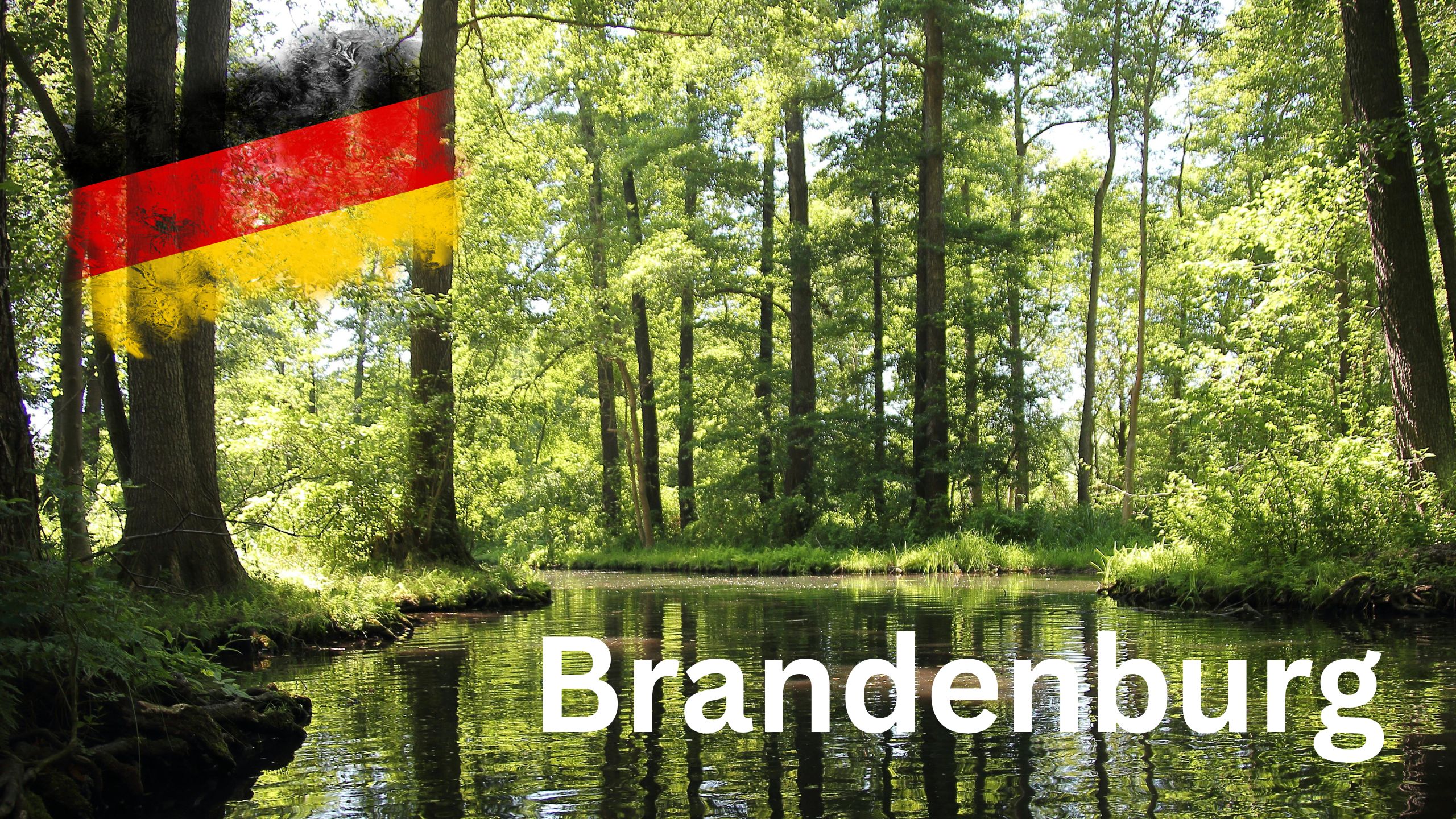 Thumbnail for Folge 247 – Brandenburg