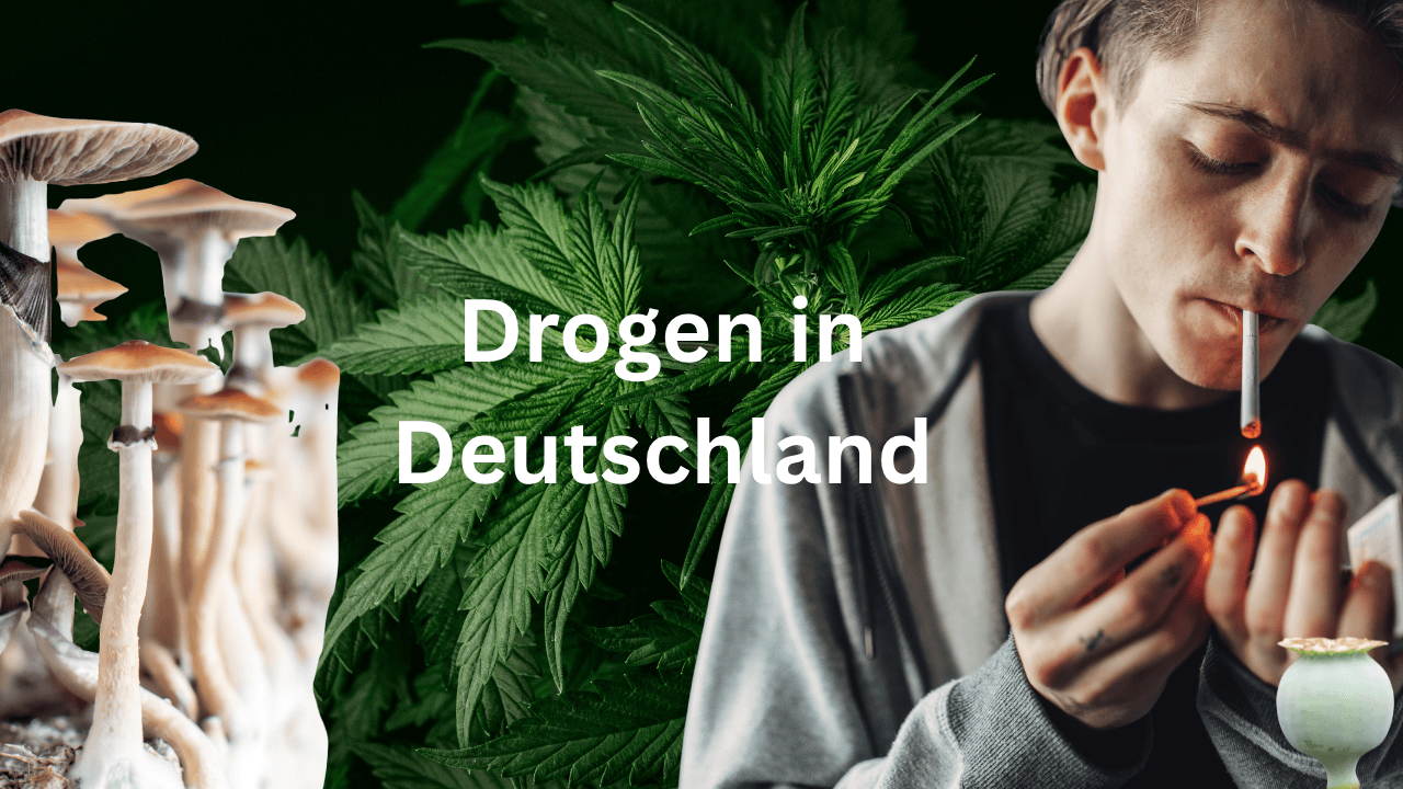 Thumbnail for Folge 252 – Drogen in Deutschland