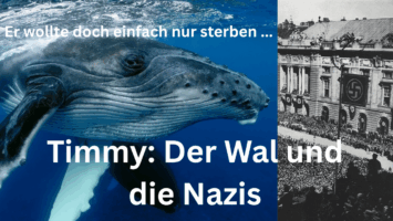 Thumbnail for Folge 256 – Timmy: Der Wal und die Nazis
