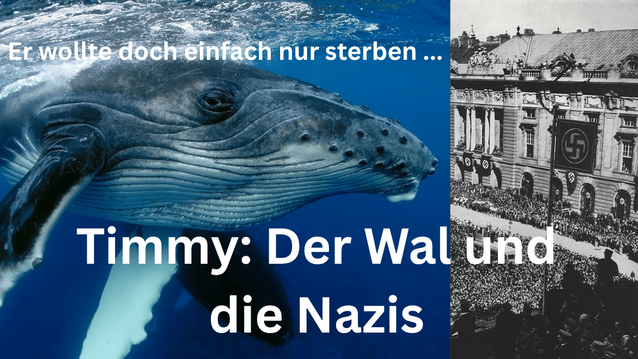 Thumbnail for Folge 256 – Timmy: Der Wal und die Nazis