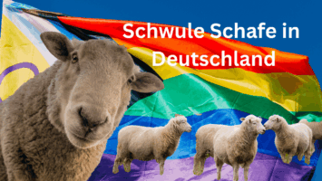 Thumbnail for Folge 258 – Schwule Schafe in Deutschland