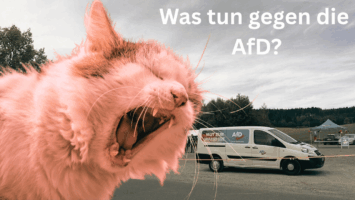 Thumbnail for Folge 264 – Was tun gegen die AfD?